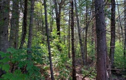 296 Georges Pond Road, Franklin, ME 04634
