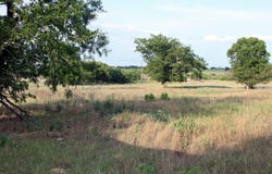 1141 Fm 3158, Dale, TX 78616