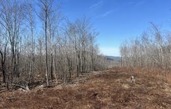 7 Grande View Road, Orland, ME 04472