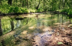 CHICAGO Road, REDGRANITE, WI 54970