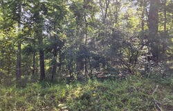 County Road 453, Piedmont, MO 63957