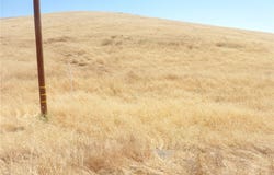 0 Douglas Rd. (Lot 41), San Miguel, CA 93451