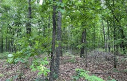 12 Acres on Meadow Creek DR, Harrison, AR 72601
