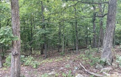 17530 Highway Y lot: M, Elk Creek, MO 65464