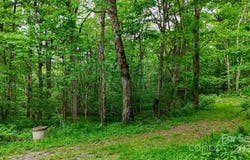 233 Woodland Springs Trail unit: 14, Boone, NC 28607