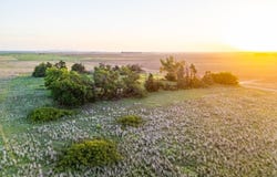 00 N 2180 Rd, Tipton, OK 73570