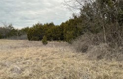 36021 Cedar Ridge Drive, Whitney, TX 76692