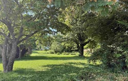 614 W Dixie Street, Bloomington, IN 47403-7403