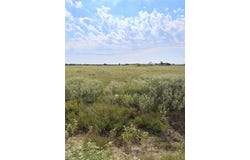 4 Ac PR  5463 C, Mexia, TX 76667