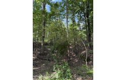 80 Co Rd 5009, Como, MS 38619