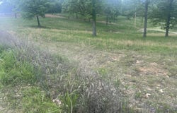 000 Farm Rd 2250, Golden, MO 65658