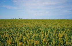 000 236 Rd, Offerle, KS 67563
