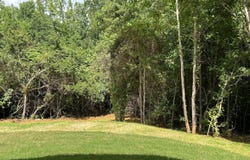 164 David Elder, Griffin, GA 30223