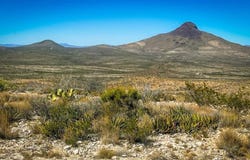21419 Garnet Ave, Terlingua, TX 79852