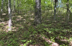547 Van Davis Lot 21 Road NW, Georgetown, TN 37336