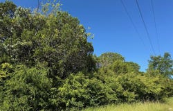1156 Ridge Drive S, Cleburne, TX 76033