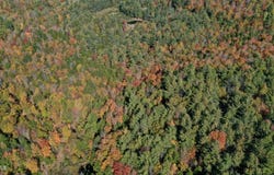 173 Cleveland Road, Johnsburg, NY 12843