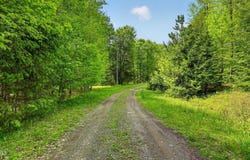 L1.6 Crystal Brook Path, Jefferson, NY 12093