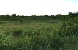 0004 CR 3210, Elmore City, OK 73433