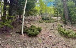 Lot 455 El Camino Real, Angel Fire, NM 87710