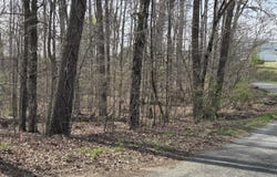 Tract 3 Lowery Road, Ocoee, TN 37361
