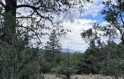 Lot 56 Upper Pinabete, Questa, NM 87556