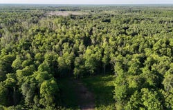E1501 County Road H-44, Trenary, MI 49891