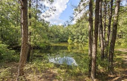 2493 Villa Rd, Kountze, TX 77625