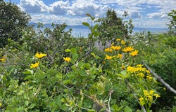 12 ASPEN Pl, Fish Haven, ID 83287