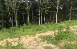 Maple St. lot: 20, Hillsville, VA 24343