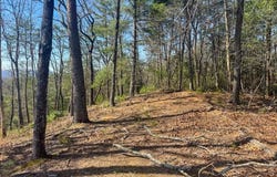 Lot 55 Mountain Laurel Ridge, Mineral Bluff, GA 30559