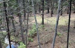 1968 Flamingo Way, Arnold, CA 95223