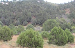 N 14, Cedar Crest, NM 87008