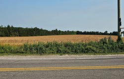 Wales Ridge Road, Memphis, MI 48041
