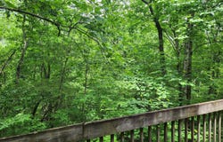 Lot 18 Sassafras Ridge Road, Turtletown, TN 37391