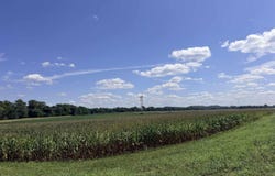 N CO RD 200 W, Worthington, IN 47471