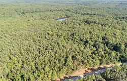 County Road 150, New Albany, MS 38652
