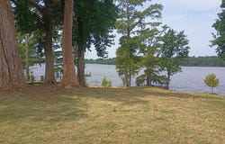 183 Herring Lane lot: 151, Merry Hill, NC 27957
