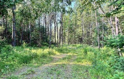 10553 OLD 8 Road, CRANDON, WI 54520