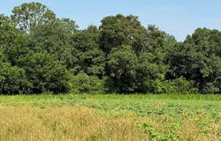 0 Gibbs, Sumner, GA 31789