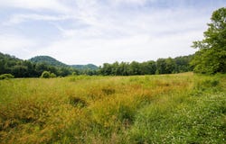 151 White Pine Lane, Vanceburg, KY 41179