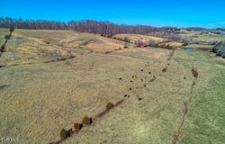 Tbd Old Snapps Ferry Road, Chuckey, TN 37641