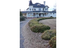 619 Willcox Ave, Marion, SC 29571