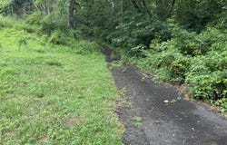 Tbd Of Fire Tower Road, Mountain City, TN 37683