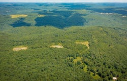 00 Rex Road, Clinton, AR 72031