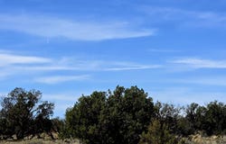5438 County Line Road, Snowflake, AZ 85937