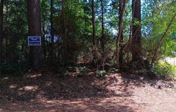 Tbd County Road 223, Carthage, TX 75633