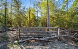 Tbd SW 36TH STREET, OCALA, FL 34481