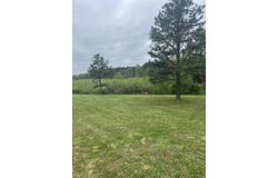 2750 Rural Route 1, Dora, MO 65637