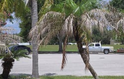 4106 BALINGTON Drive, VALRICO, FL 33596